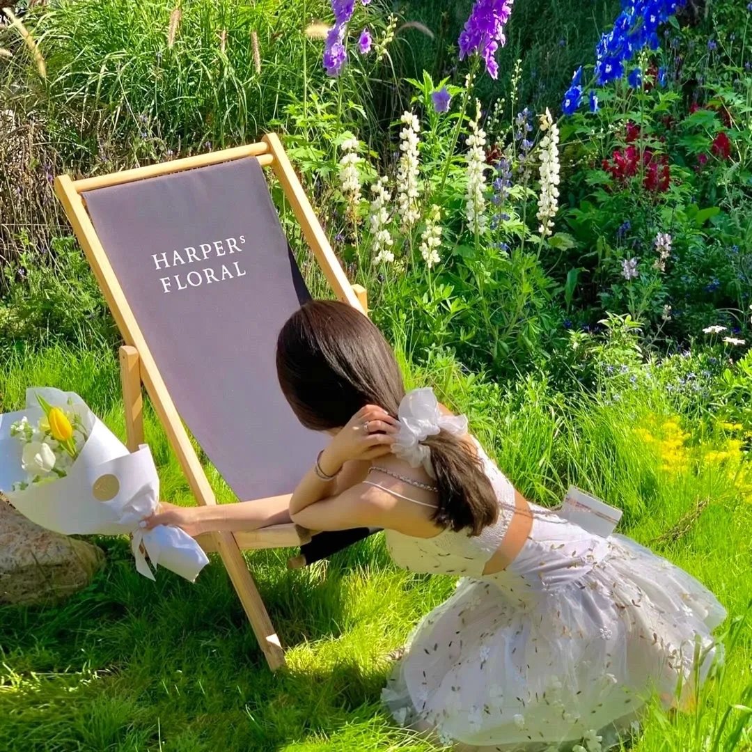 解码安妮·帕克